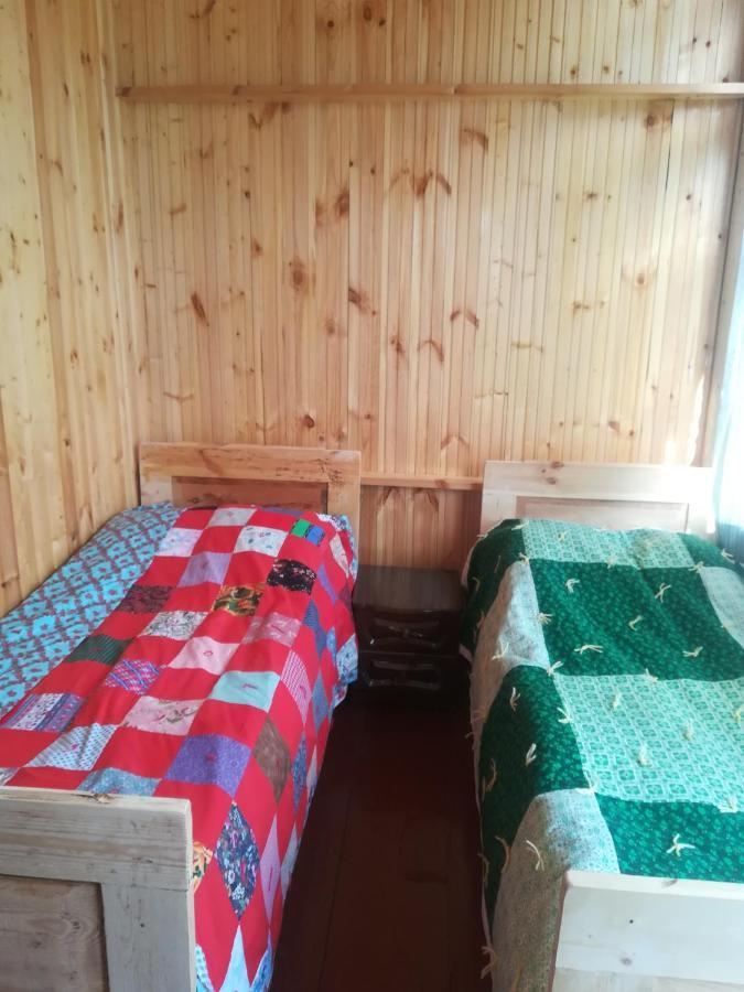 Guest House Georgia Elisabeth Adishi Εξωτερικό φωτογραφία